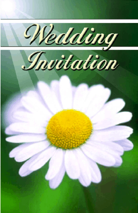 Wedding Invitation with Daisy