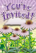 Cone Flower Invitation